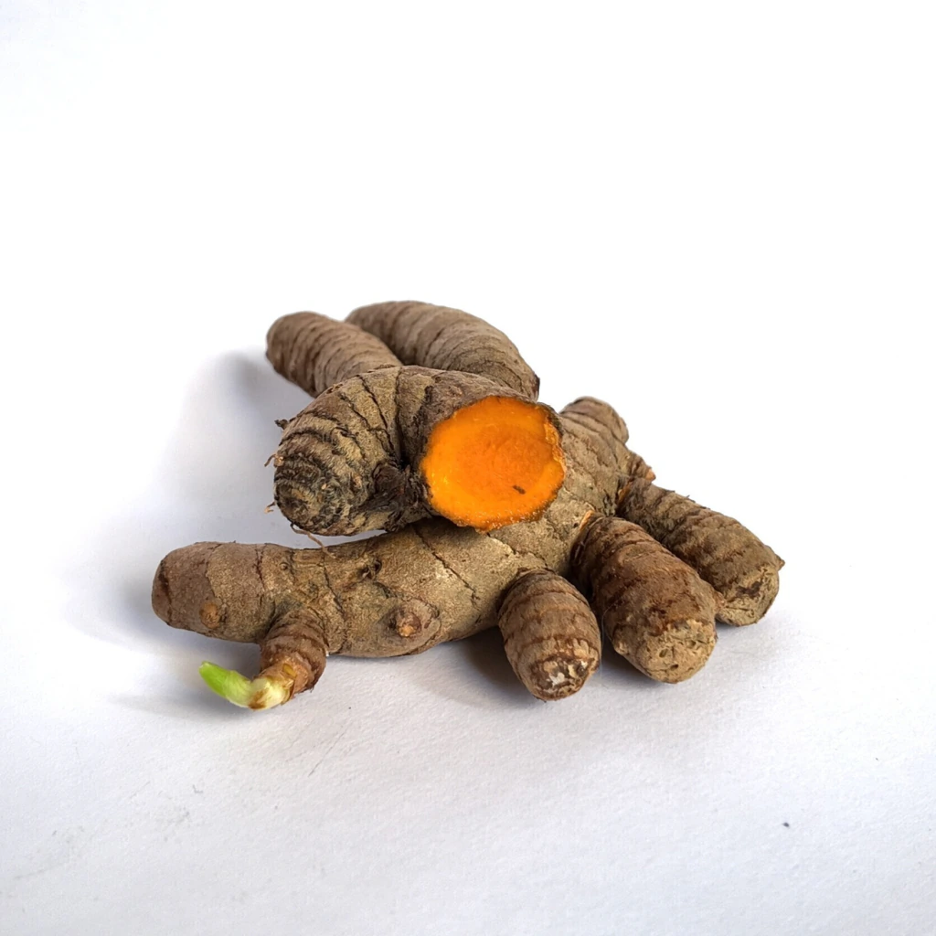 Cúrcuma (Curcuma longa)